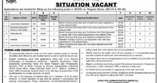 Sindh Employees Social Security Institution Jobs